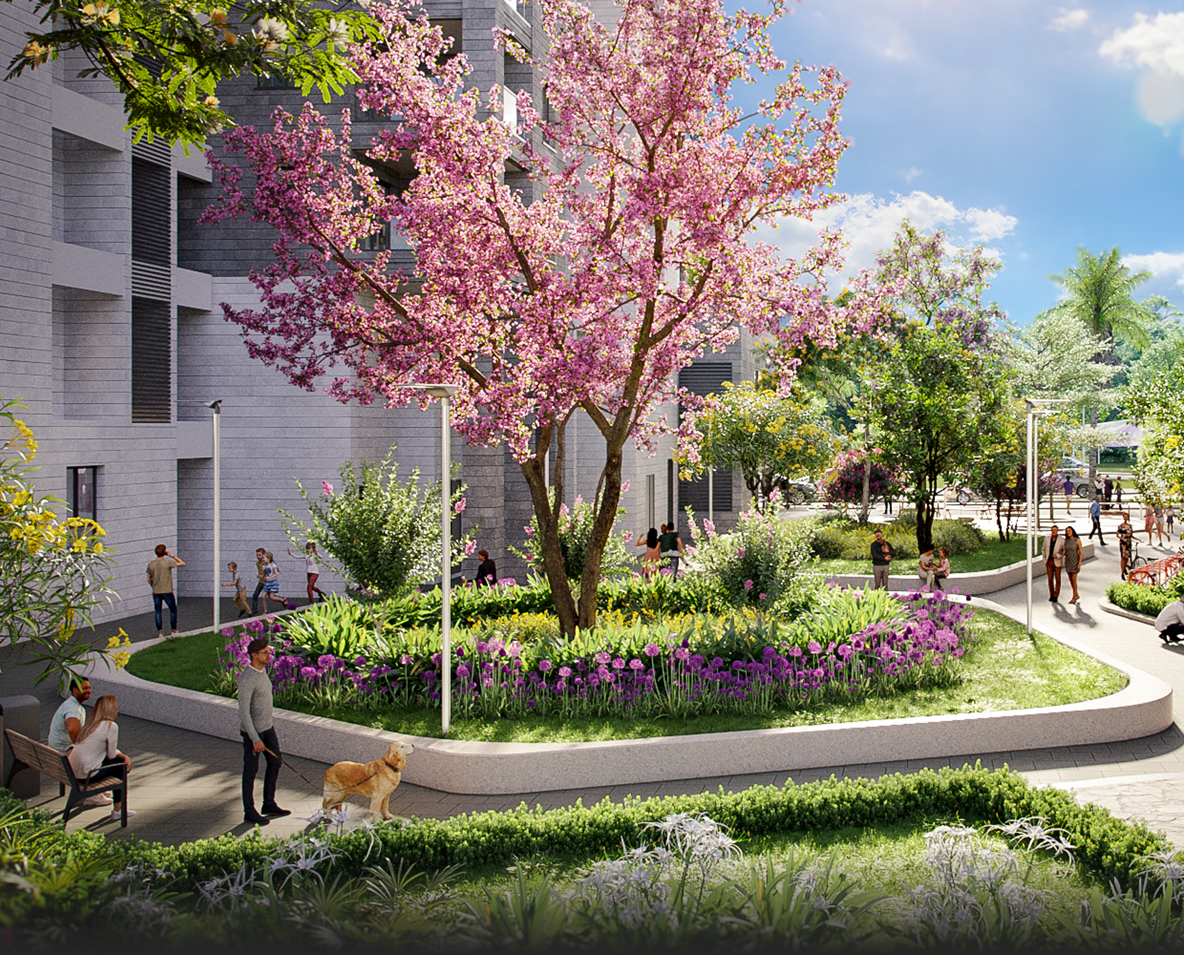 Picture-3_Desktop-efficapital